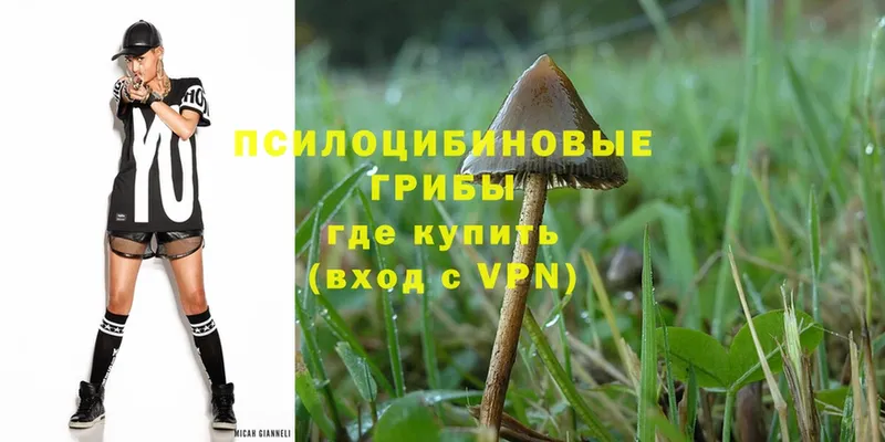 где купить наркоту  Карталы  Псилоцибиновые грибы MAGIC MUSHROOMS 